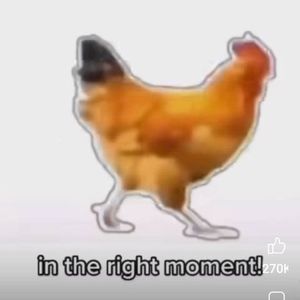 Meet your Posher, Johnny